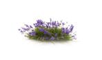 Woodland Scenics Büsche miit violetten Blumen